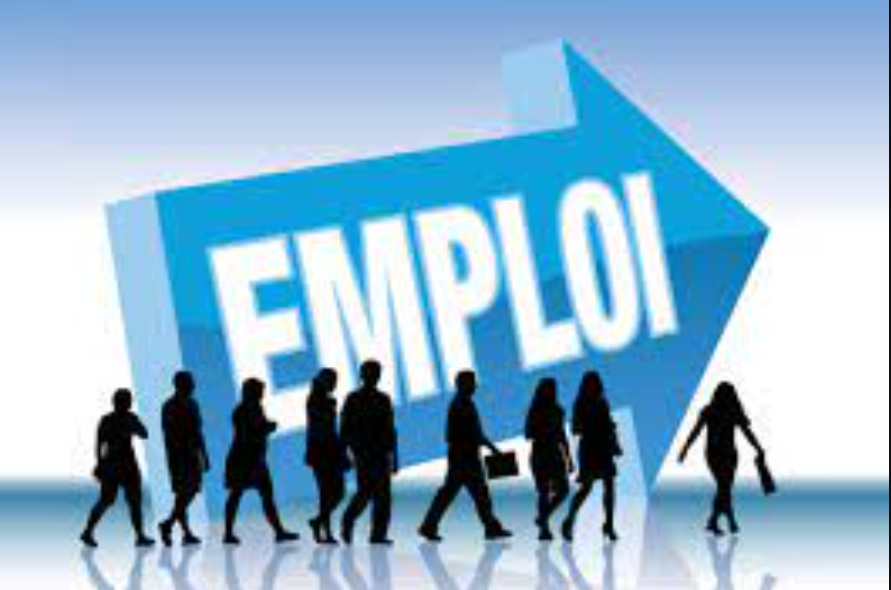 Marché du travail en 2024 : 10 386 emplois créés, plus de 77 000 contrats enregistrés, selon le rapport RAST