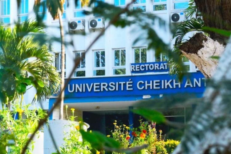 Élections des représentants des étudiants à l’UCAD : le Recteur appelle les coalitions à un comportement exemplaire
