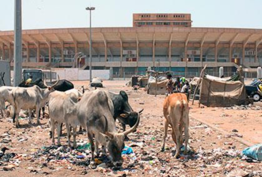 Stade Léopold Sédar Senghor : une vaste opération de désencombrement aux abords de la structure lancée