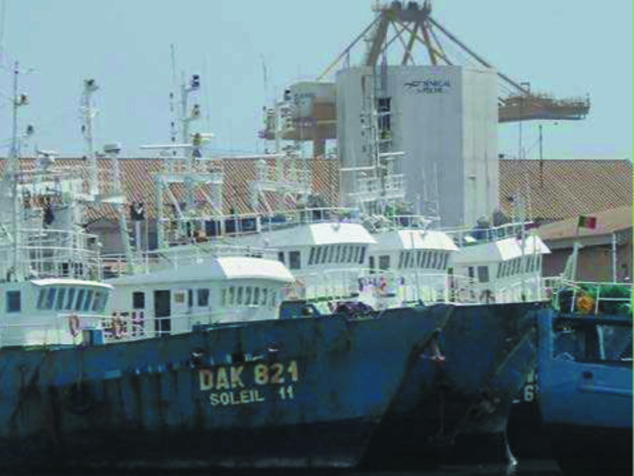 Pêche illégale en Afrique de l’Ouest : l’Espagne dans le viseur de deux ONG environnementales