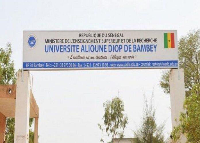 Université de Bambey : les amicales décrètent une grève illimitée et invitent les étudiants à rentrer chez eux