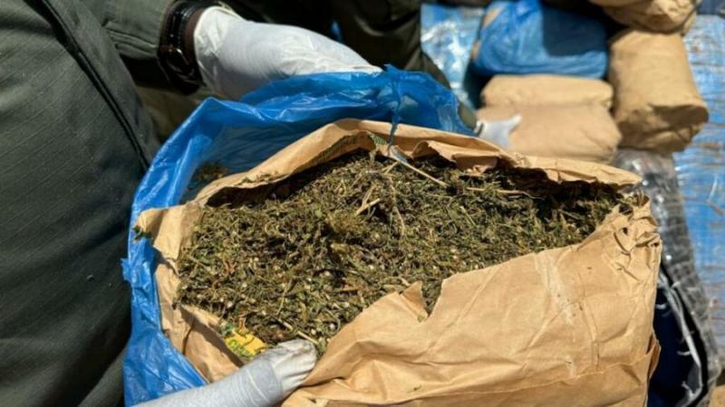 Ziguinchor : 11 kg de chanvre indien saisis en une semaine