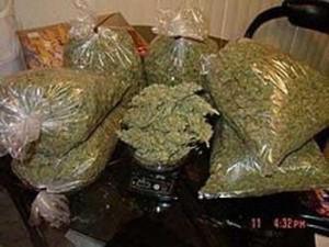 Tambacounda - Drogue: Un agent du Conseil départemental et un commerçant arrêté à Tambacounda