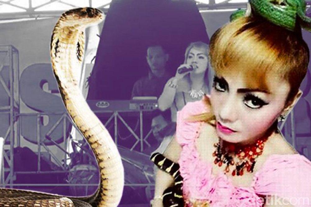 Mordue par un cobra, une chanteuse termine son concert avant de mourir