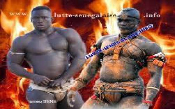 Lutte-Modou Lô-Eumeu Sène : Luc Nicolaï traite Gaston Mbengue de torpilleur des combats de Modou Lô