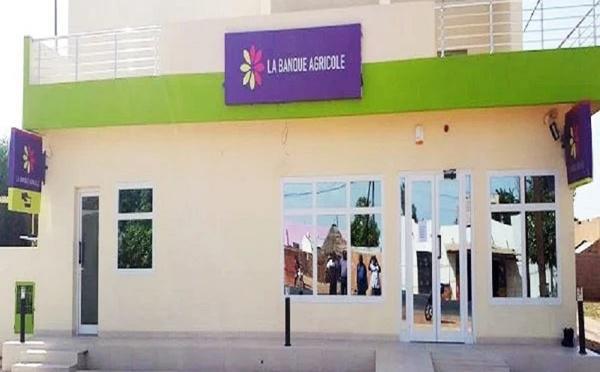Scandale financier : un montage opaque de près 18 milliards de F Cfa entre l'Etat et la Banque agricole