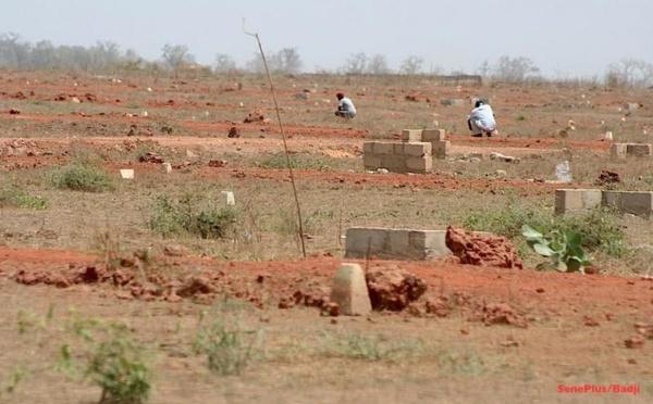 Au Sénégal, 90 % des plaintes à l’Ofnac concernent le foncier : les absents aux convocations désormais passibles de prison