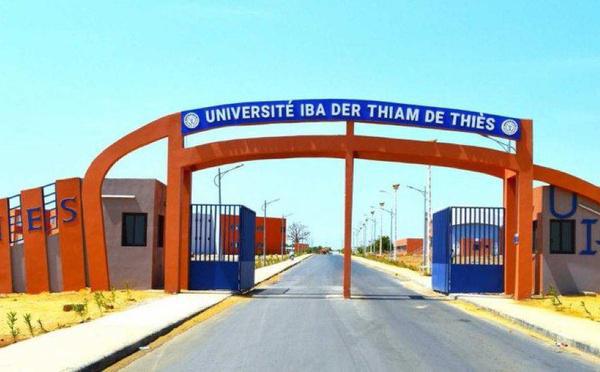 CAMES 2025 : L’Université de Thiès réalise un taux de réussite de 100 %
