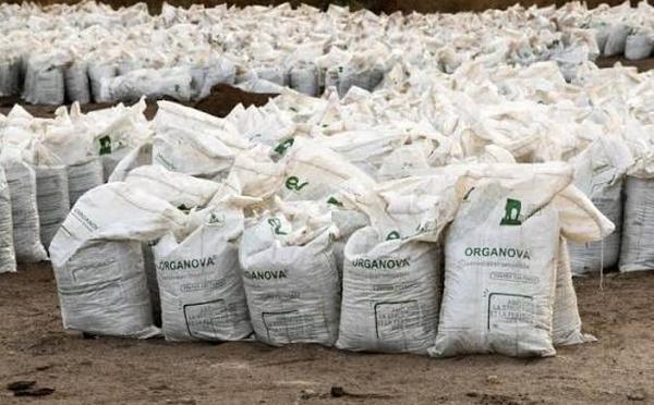 ICS : un record de 105 000 tonnes d’engrais livrés pour la campagne agricole