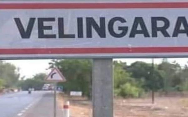 Fièvre de la Vallée du Rift : Kolda entre en épidémie après la détection d’un premier cas humain à Vélingara