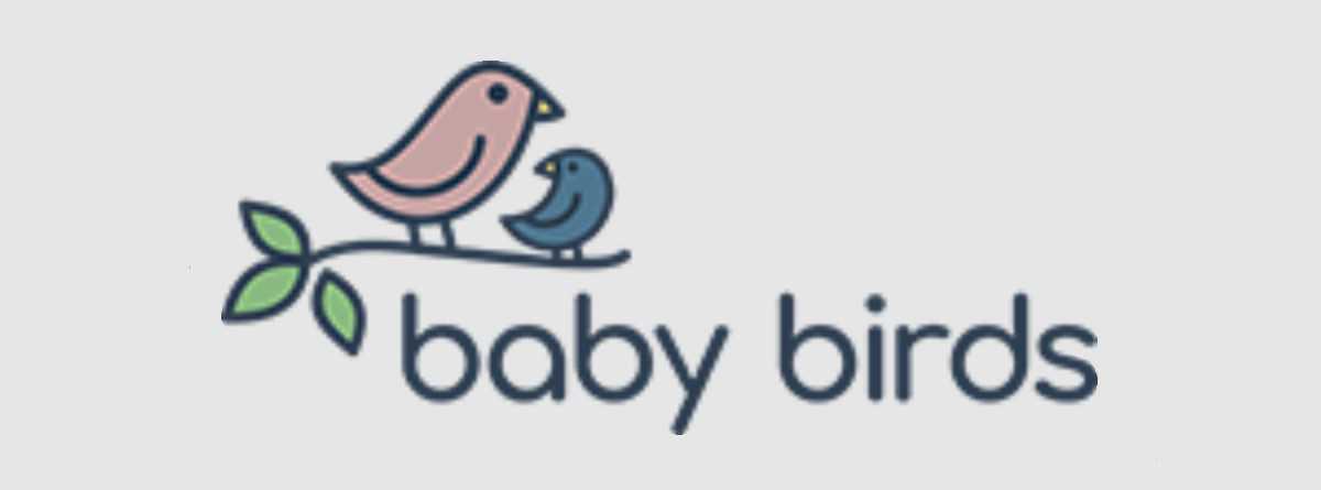 Baby Birds