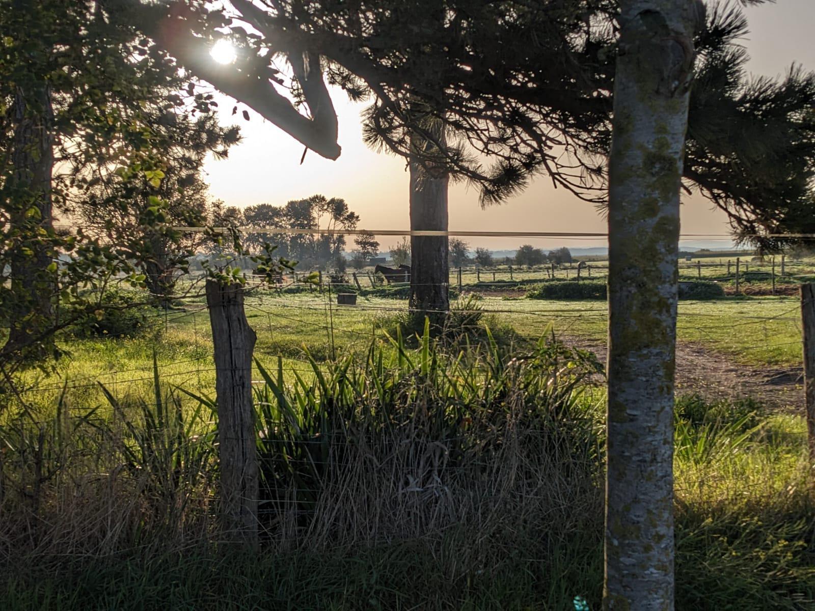 b7ae4fe8-a55f-455a-a712-9004dba7f474