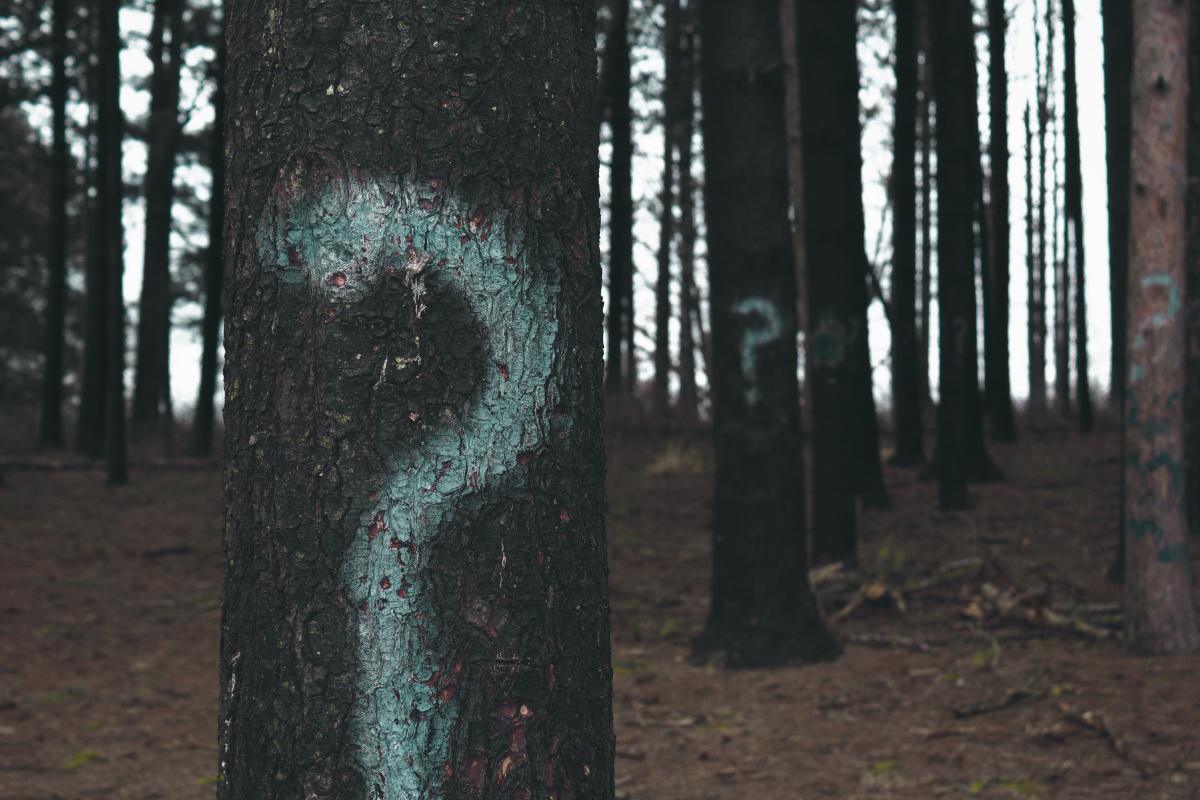 Was ist ein Numerus Clausus? Was ist ein Numerus Clausus?