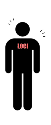 Lernen lernen, Teil 4: Lerntechniken Lernen lernen, Teil 4: Lerntechniken