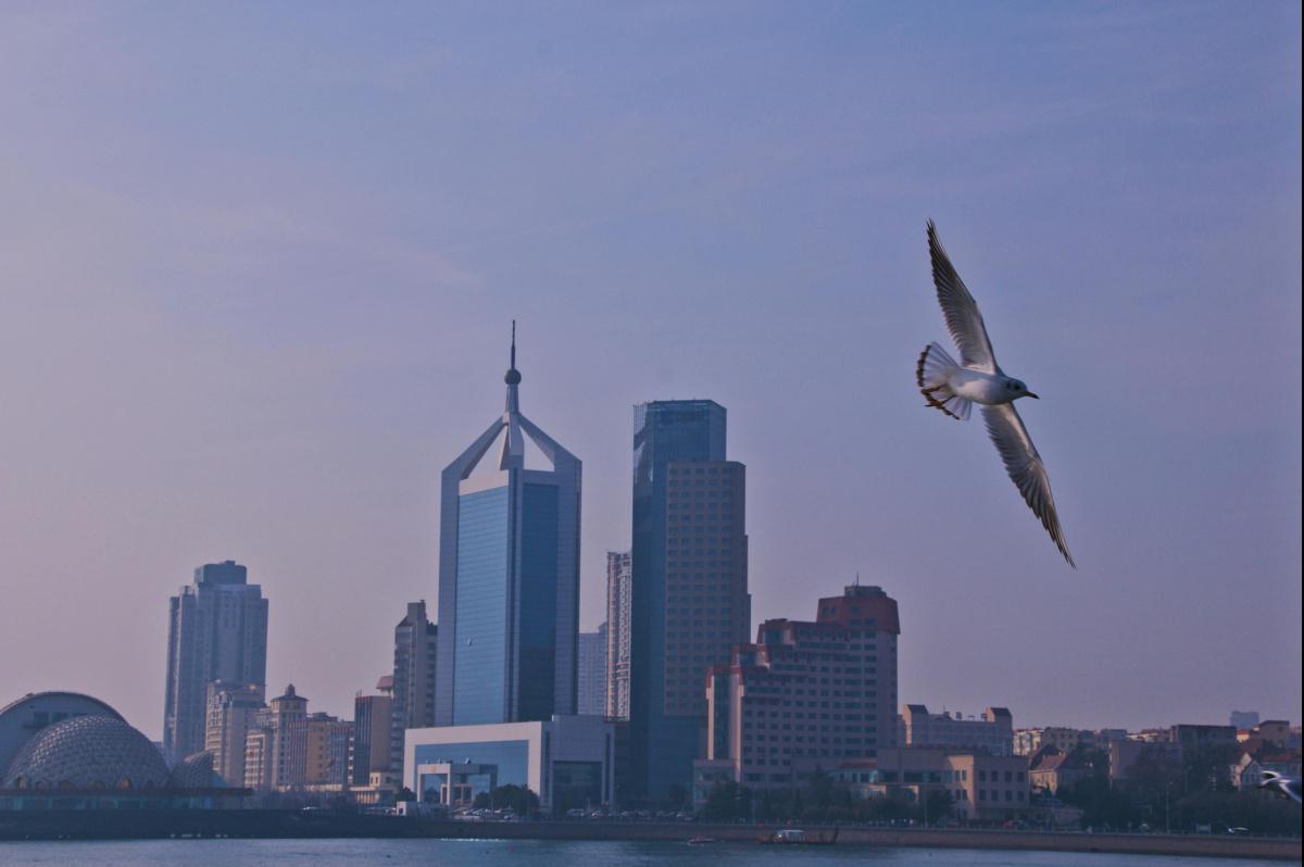 Studienort Qingdao Studienort Qingdao