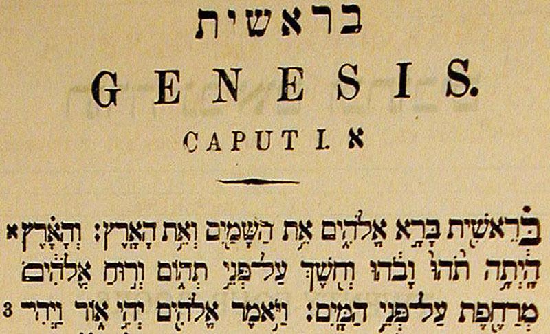La interpretación del capítulo 6 del Génesis.