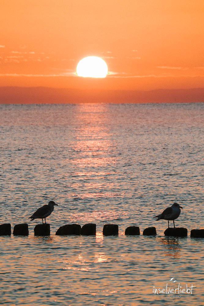inselverliebt-usedom-2