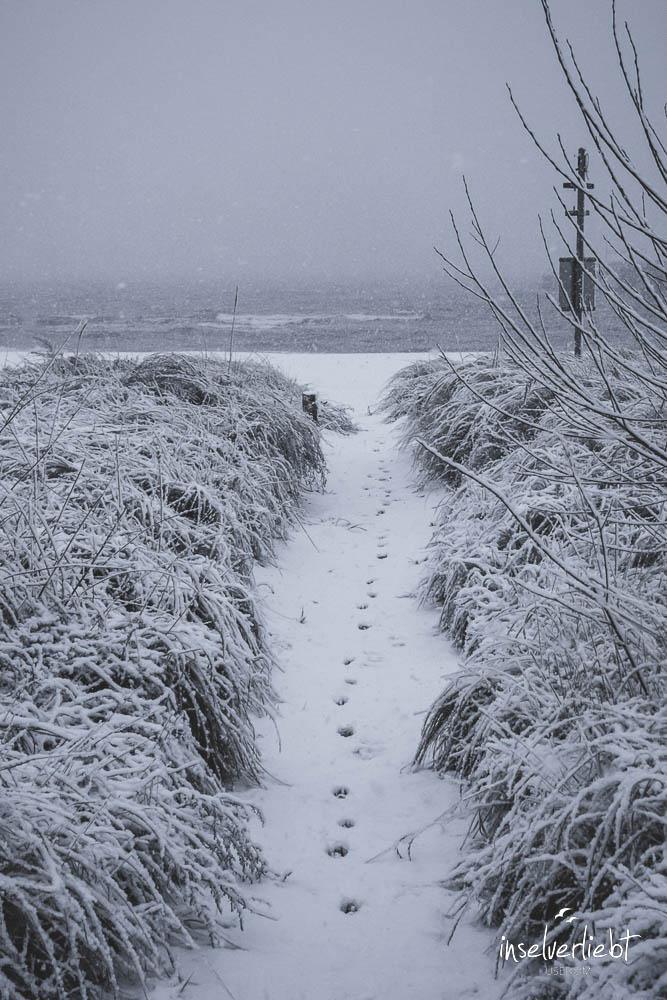 inselverliebt-usedom-5