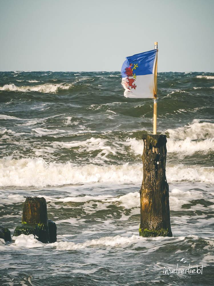 inselverliebt-usedom-7