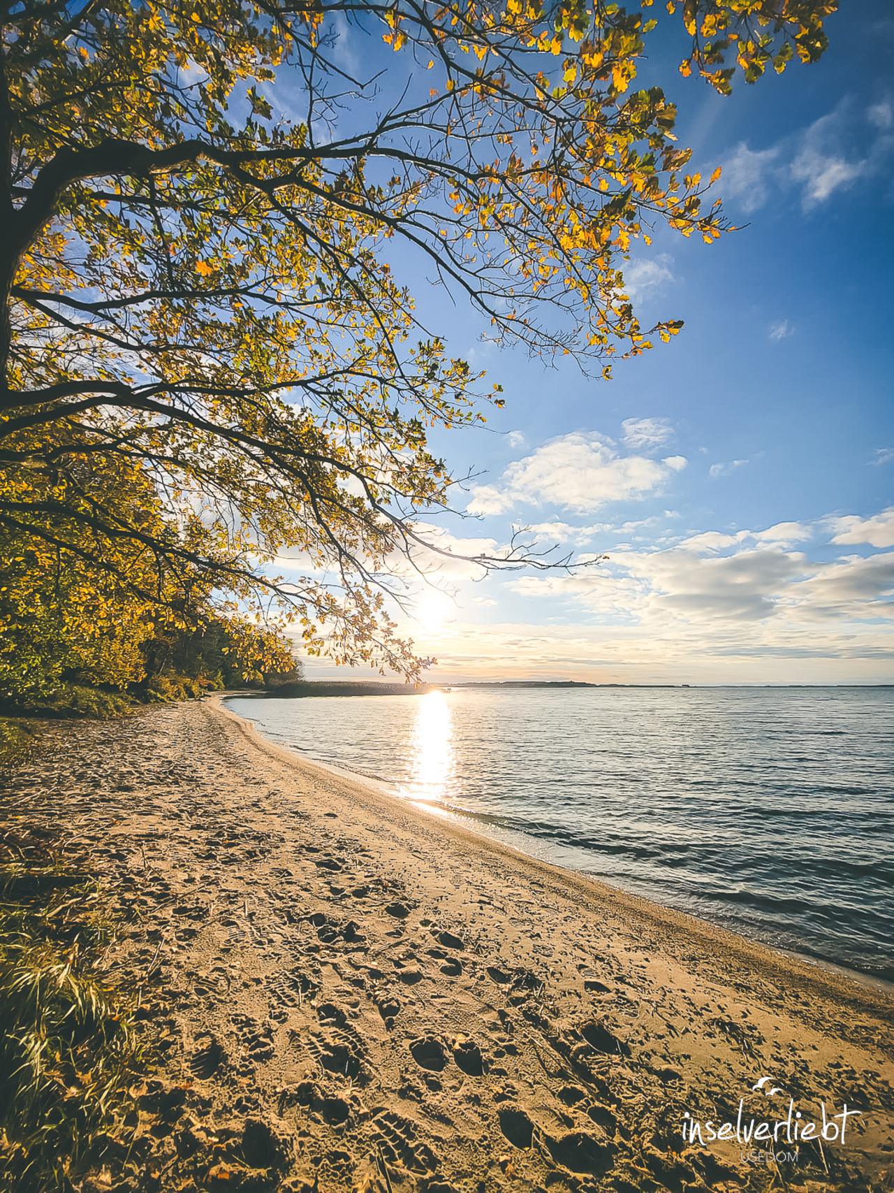 inselverliebt-usedom-28