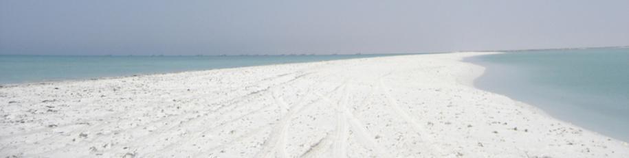 ODC# Programme type ODC# Programme type