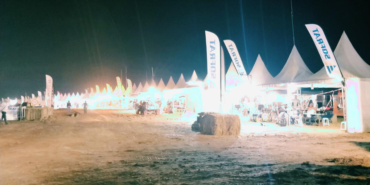 La nuit tous les chats... La nuit tous les chats...