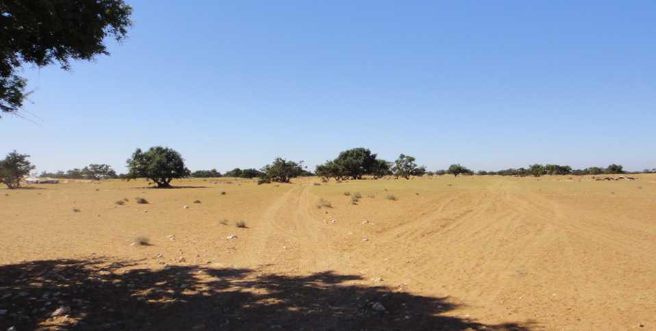 24H ORM2014 - ES4 - 6H D'AGADIR 24H ORM2014 - ES4 - 6H D'AGADIR