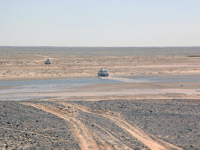 gal-297782