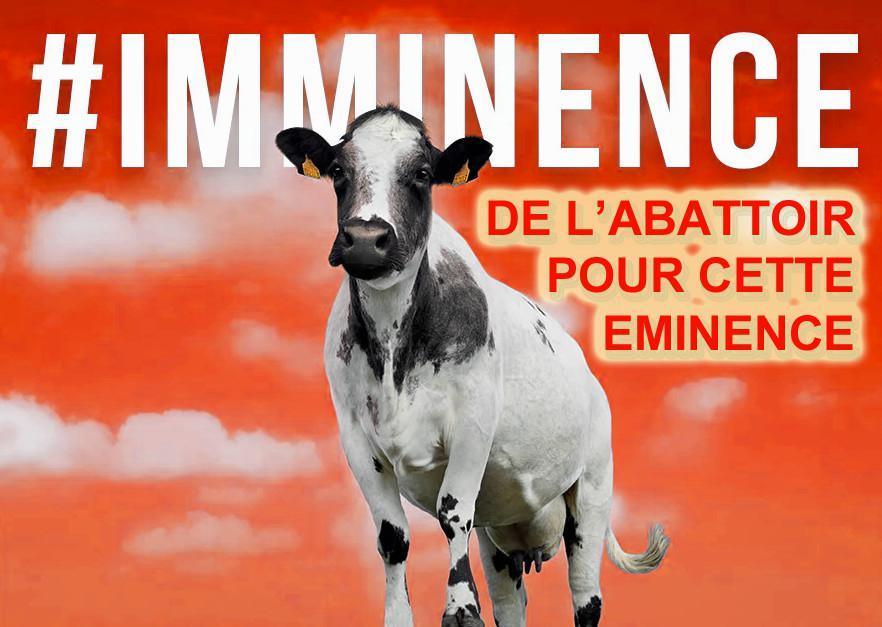 Cynisme en #IMMINENCE Cynisme en #IMMINENCE