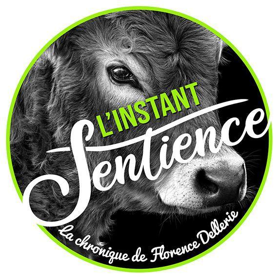 Employé·e·s d'abattoirs, sadisme et psychopathie Employé·e·s d'abattoirs, sadisme et psychopathie