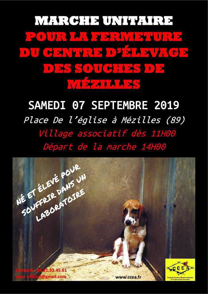 MFA 2019 - Les urgences du combat MFA 2019 - Les urgences du combat