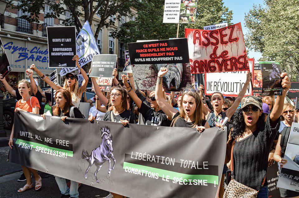 MARCHE pour la FIN du SPECISME 2019 - #1