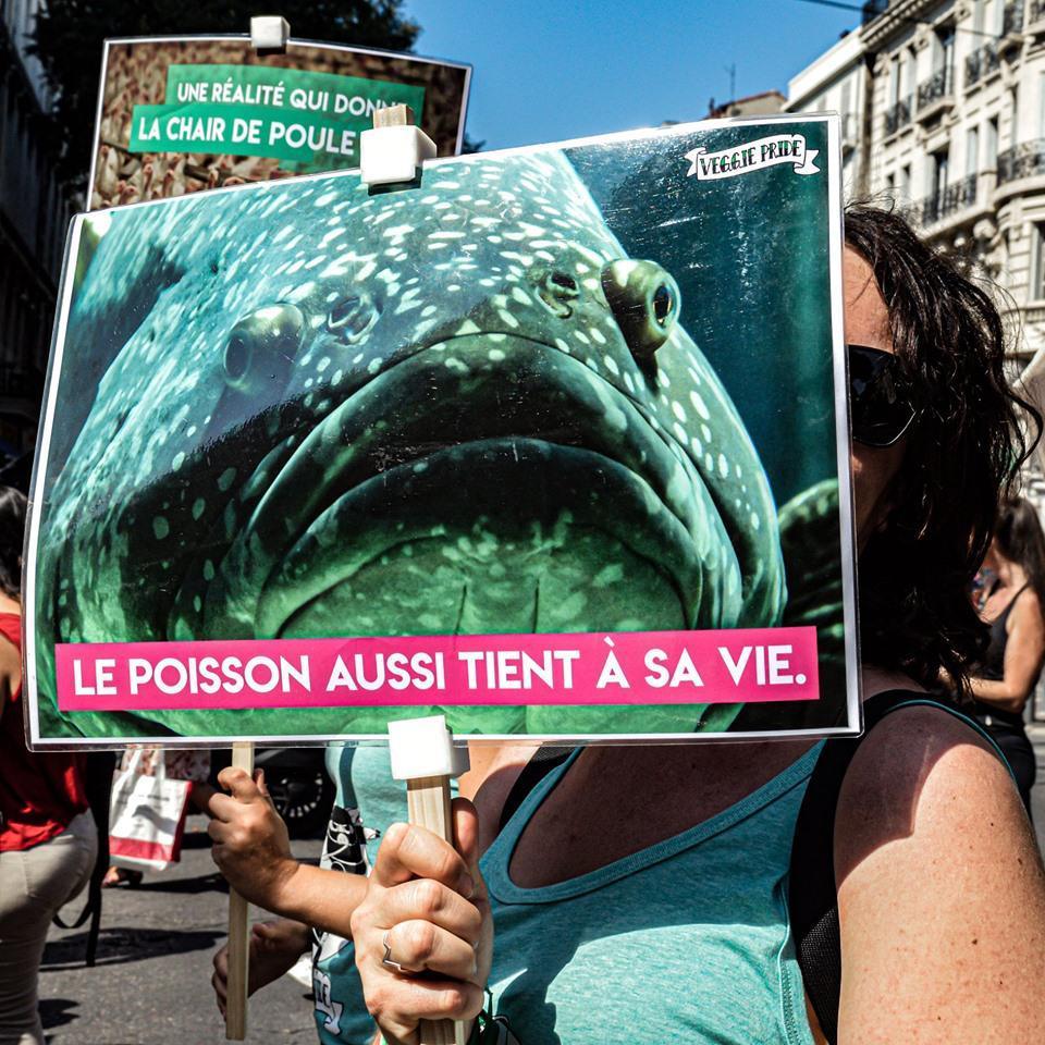 MARCHE pour la FIN du SPECISME 2019 - #2 MARCHE pour la FIN du SPECISME 2019 - #2