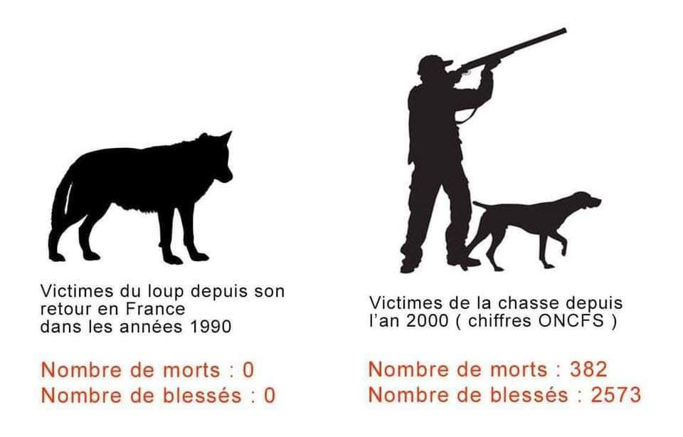 La chasse est criminelle ! La chasse est criminelle !