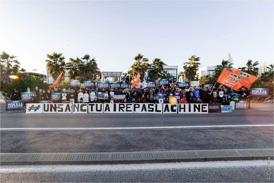 Des slogans pour sauver nos Orques ! Des slogans pour sauver nos Orques !