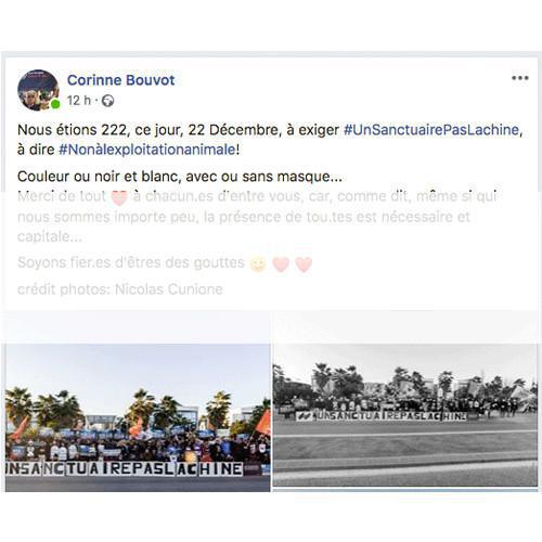 Des slogans pour sauver nos Orques ! Des slogans pour sauver nos Orques !