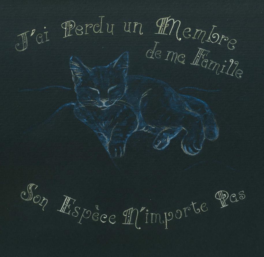 Shuri est morte. Shuri est morte.