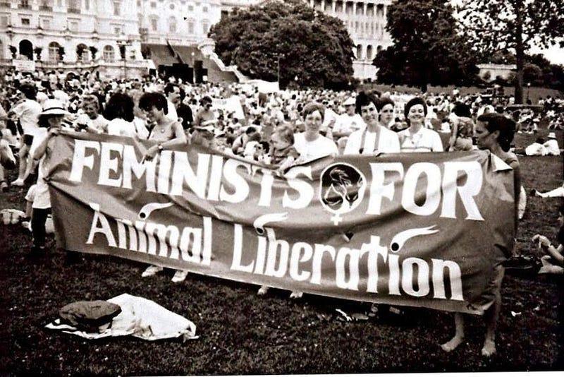 Pour un mouvement antispéciste féministe