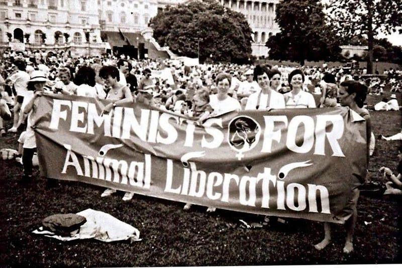Pour un mouvement antispéciste féministe Pour un mouvement antispéciste féministe