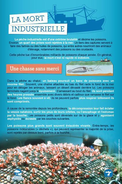 400·000 mort·e·s par jour à Concarneau 400·000 mort·e·s par jour à Concarneau