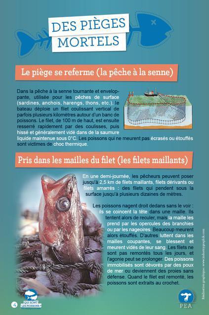 400·000 mort·e·s par jour à Concarneau 400·000 mort·e·s par jour à Concarneau