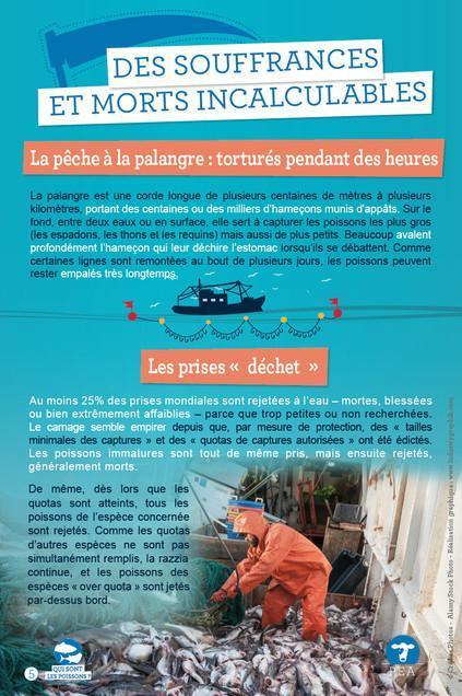 400·000 mort·e·s par jour à Concarneau 400·000 mort·e·s par jour à Concarneau