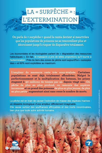 400·000 mort·e·s par jour à Concarneau 400·000 mort·e·s par jour à Concarneau