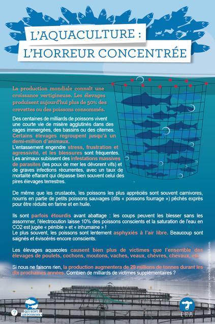 400·000 mort·e·s par jour à Concarneau 400·000 mort·e·s par jour à Concarneau
