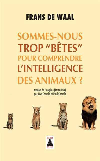 Camille Brunel, Interview pour nos métamorphoses Camille Brunel, Interview pour nos métamorphoses