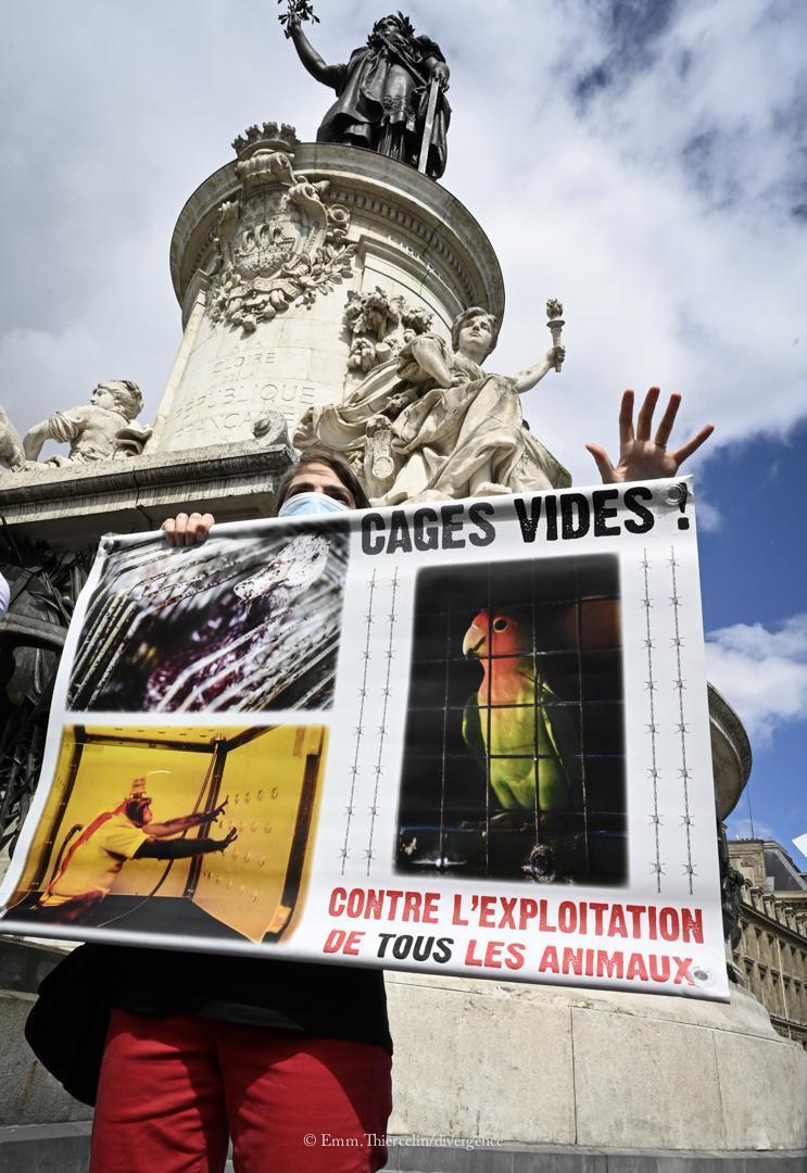 Politisation victorieuse de la lutte antispéciste - JMFS 2020 Politisation victorieuse de la lutte antispéciste - JMFS 2020