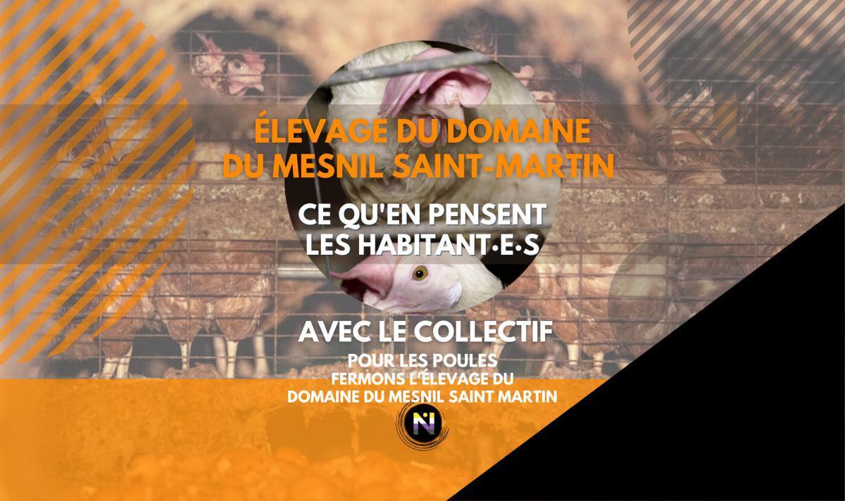 Elevage du Mesnil Saint Martin, ce qu'en pensent les habitant·e·s Elevage du Mesnil Saint Martin, ce qu'en pensent les habitant·e·s