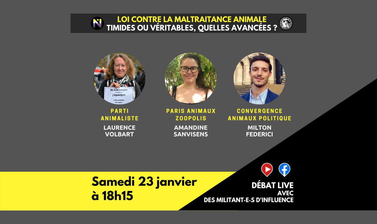 Loi de lutte contre la maltraitance animale, timides ou véritables avancées ? Loi de lutte contre la maltraitance animale, timides ou véritables avancées ?