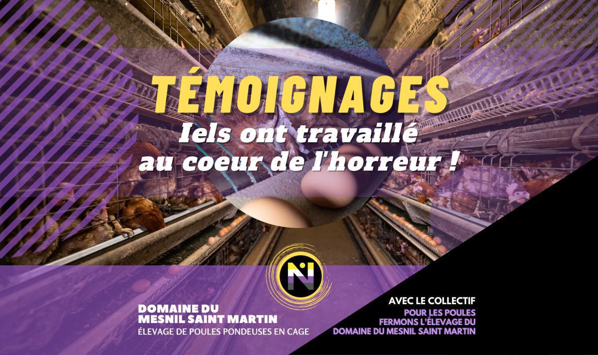 Travailler au coeur de l'horreur - Témoignages