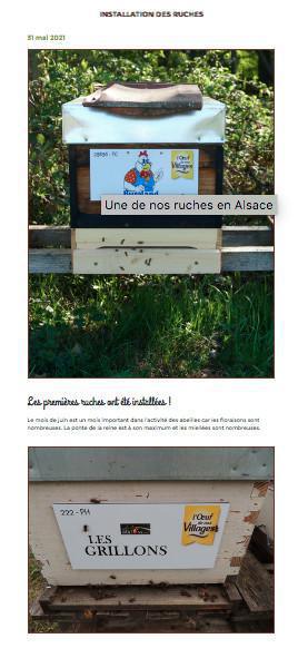 Poulailler d'Havelu, pour en finir avec l'hypocrisie du Bien-Être animal. Poulailler d'Havelu, pour en finir avec l'hypocrisie du Bien-Être animal.